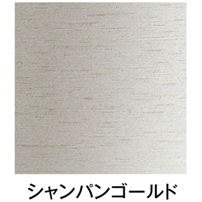 プロックス PX15425CG コンテナギアハードタックルバッグ 25L(シャンパンゴールド)PROX フィッシングバッグ[PX15425CG] 返品種別A