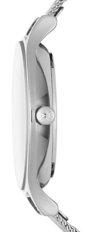 スカーゲン 【国内正規品】ANITA LILLE クオーツ レディースタイプ SKW2149返品種別B_2