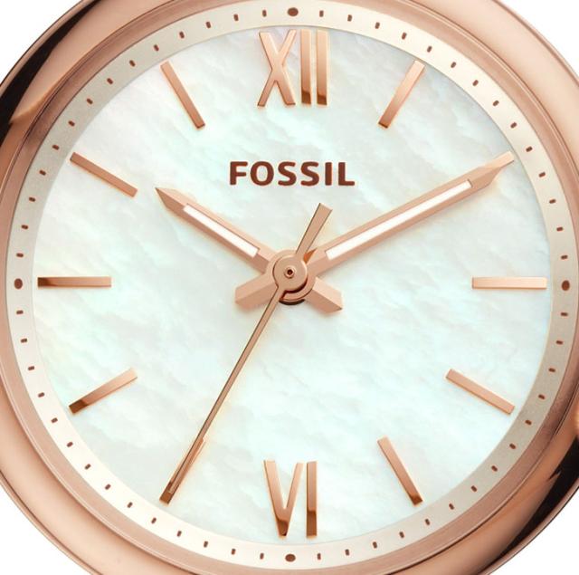 フォッシル 【国内正規品】FOSSIL　CARLIE MINI クオーツ　レディースタイプ ES4502返品種別B_1