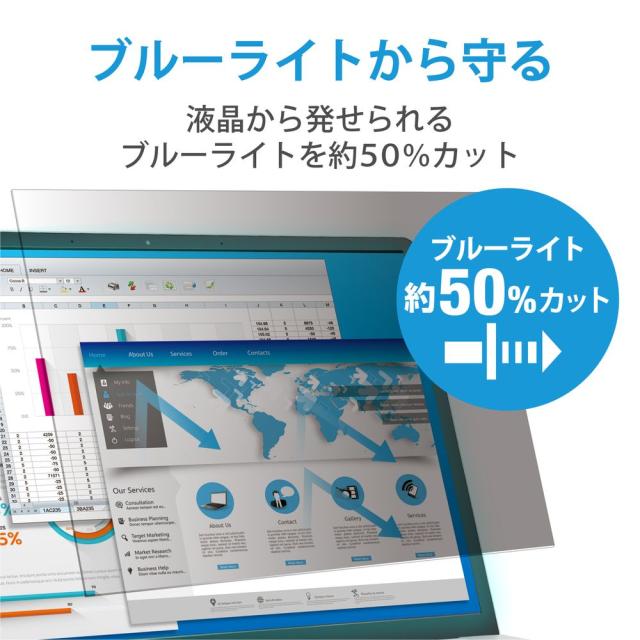 エレコム EF-PFK215W 液晶保護フィルター のぞき見防止 抗菌 21.5Wインチ(16:9)[EFPFK215W] 返品種別A_4