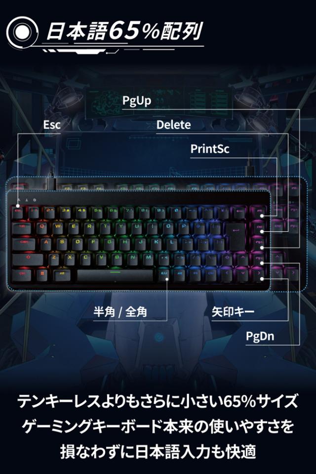 エレコム TK-VK300SBK メカニカルゲーミングキーボード 有線 着脱式ケーブル RGB(銀軸/スピードリニア)日本語配列 テンキーレス ネオクラッチキーキャップ コンパクトV custom[TKVK300SBK] 返品種別A_1