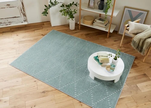 スミノエ(SUMINOE) ラグ(ブルーグレー・185×240cm) 【他商品との同時購入不可】 メーカー直送 ポント 132-85750-38-185-240返品種別B