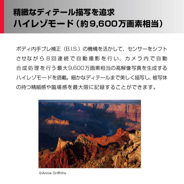 パナソニック DC-S5M2K フルサイズミラーレス一眼カメラ「LUMIX S5II」標準ズームレンズキットPanasonic[DCS5M2K] 返品種別A_6
