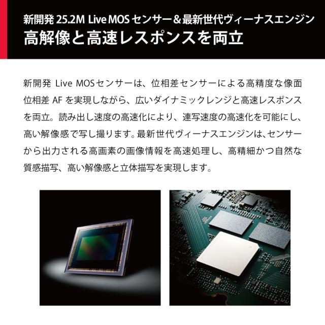 パナソニック DC-G9M2L ミラーレス一眼カメラ「LUMIX G9PROII」標準ズームレンズキットPanasonic[DCG9M2L] 返品種別A_1