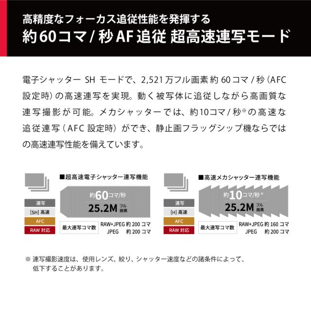 パナソニック DC-G9M2L ミラーレス一眼カメラ「LUMIX G9PROII」標準ズームレンズキットPanasonic[DCG9M2L] 返品種別A_2