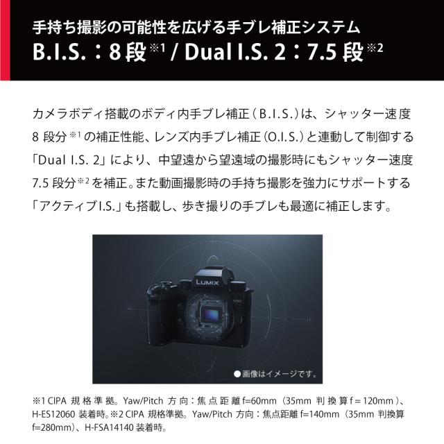 パナソニック DC-G9M2L ミラーレス一眼カメラ「LUMIX G9PROII」標準ズームレンズキットPanasonic[DCG9M2L] 返品種別A_3