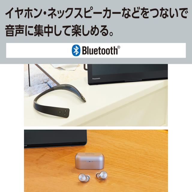 パナソニック 10型 ポータブル地上・BS・110度CSデジタル液晶 パナソニック 10型 ポータブル地上・BS・110度CSデジタル液晶