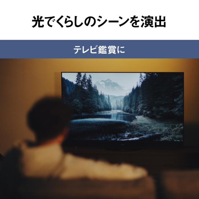 パナソニック 10〜12畳用　パルック　LEDシーリングライト【カチット式】 HH-XCK1260A返品種別A_2