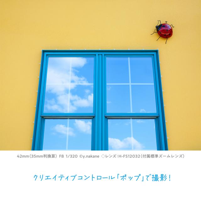 パナソニック DC-G100DW-K ミラーレス一眼カメラ「LUMIX G100D」ダブルズームレンズキットPanasonic Kキット[DCG100DWK] 返品種別A_7
