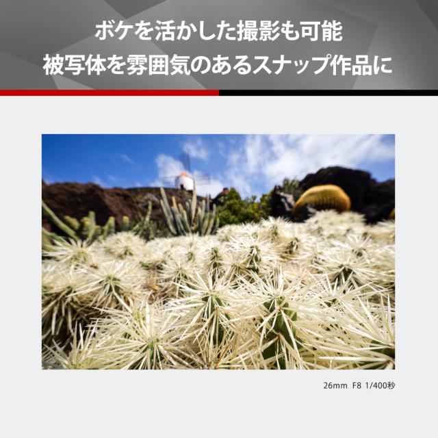 パナソニック S-R26 LUMIX S 26mm F8 S-R26※Lマウント（フルサイズ対応）[SR26] 返品種別A