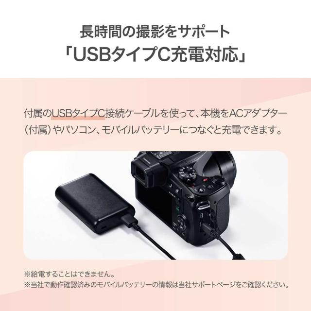 Panasonic LUMIXデジタルカメラ・ACアダプター 楽天市場】【在庫あり！】【純正品・新品】パナソニックデジタル