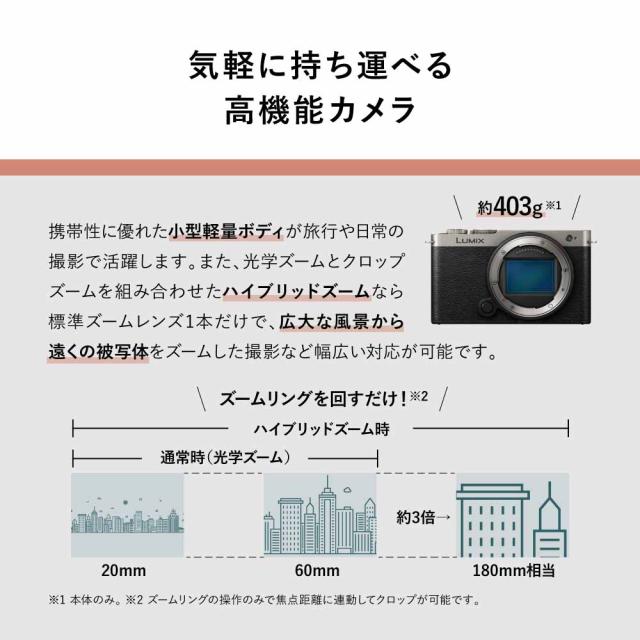 パナソニック フルサイズミラーレス一眼カメラ「LUMIX DC-S9」広角ズームレンズキット（ダークシルバー） Panasonic DC-S9N-S返品種別Aの通販は