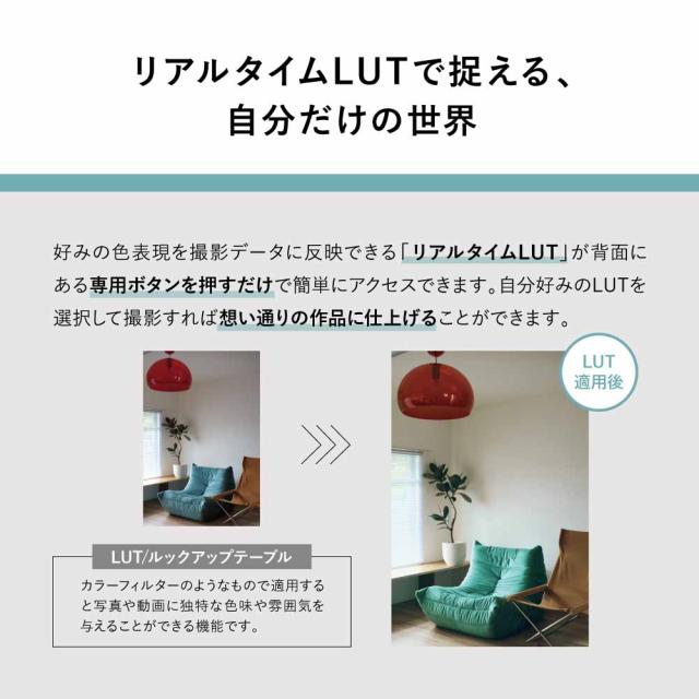 パナソニック フルサイズミラーレス一眼カメラ「LUMIX DC-S9」広角ズームレンズキット（ダークシルバー） Panasonic DC-S9N-S返品種別Aの通販は