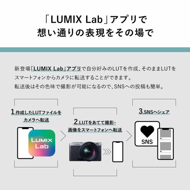 パナソニック フルサイズミラーレス一眼カメラ「LUMIX DC-S9」広角ズームレンズキット（ダークシルバー） Panasonic DC-S9N-S返品種別Aの通販は