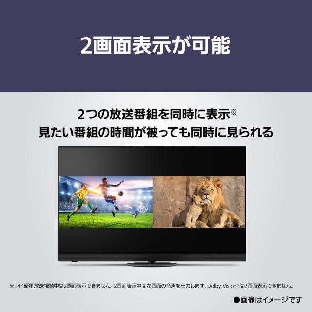 パナソニック 55V型 有機ELテレビ［地上・BS・110度CSデジタル4Kチューナー内蔵］ TV-55Z90B返品種別A_14