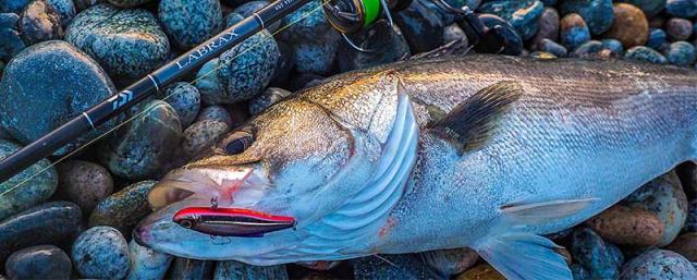 ダイワ 21 ラブラックス AGS 110MH-3 11.0ft 3ピース スピニング DAIWA 21 LABRAX AGS 21 ラブラックス AGS 110MH-3返品種別A