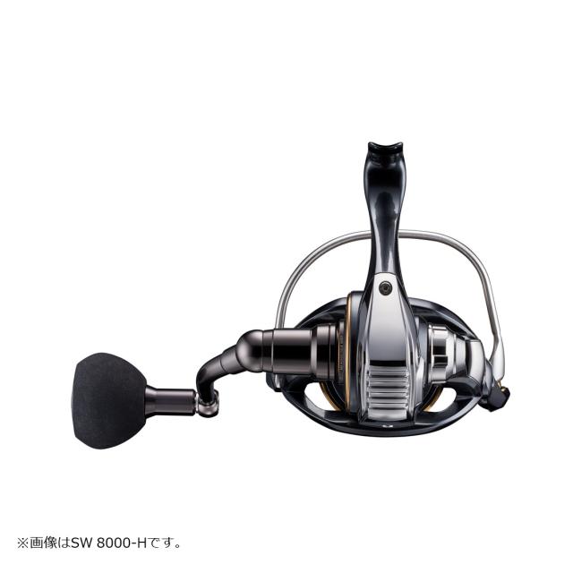 CALDIA SW 6000D-Hマグシールド搭載 カルディア SW(リール)｜DAIWA