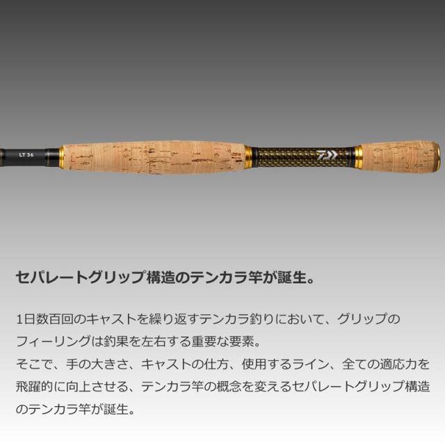 ダイワ ロッド '23エキスパート テンカラ LL 33・W 渓流竿 ダイワ 23 エキスパート EXPERT テンカラ LT 33・W ⁄ daiwa