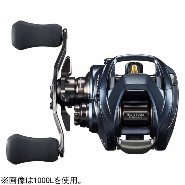 ダイワ 22スティーズ A II TW 1000HL 22 スティーズ A II TW 1000HL 左ハンドルDAIWA