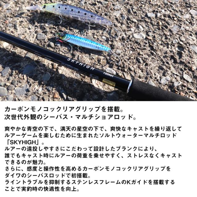 ダイワ 25スカイハイ96M 25 スカイハイ 96MDAIWA 25SKYHIGH シーバスロッド[05801185ダイワ] 返品種別A_2