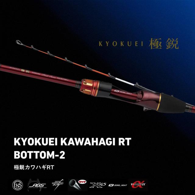 ダイワ 19 極鋭 カワハギ RT AGS BOTTOM-2 2本継 19キョクエイカワハギ