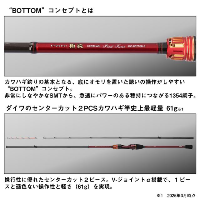 ダイワ 19 極鋭 カワハギ RT AGS BOTTOM-2 2本継 19キョクエイカワハギ