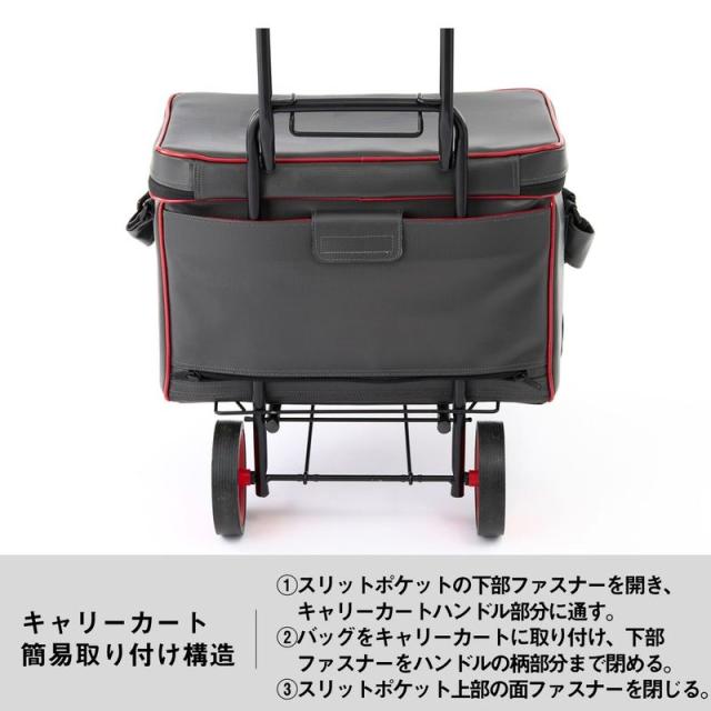 ダイワ ヘラバッグLT35(D)サクラ へらバッグ LT35(D) サクラ 容量35LDAIWA[08522097ダイワ] 返品種別A_5