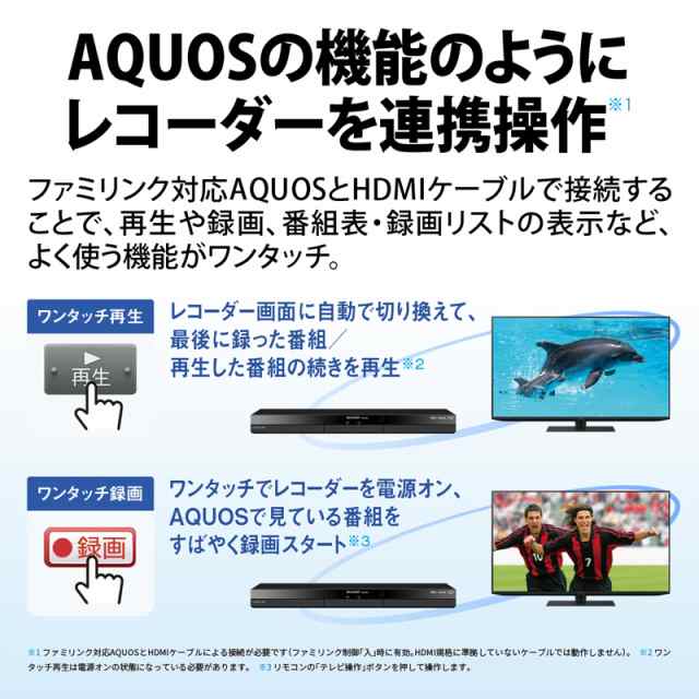 シャープ 2B-C10GW1 ブルーレイレコーダー［1TB HDD /2番組同時