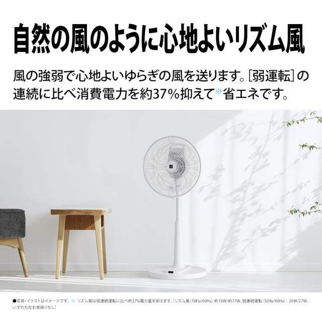 シャープ PJ-U3AS-W 【扇風機】リビング扇（ホワイト系）SHARP プラズマクラスター7000搭載[PJU3ASW] 返品種別A_5