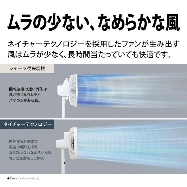 シャープ PJ-U3DS-W 【扇風機】DCモーター搭載 リビング扇（ホワイト系）SHARP プラズマクラスター7000搭載[PJU3DSW] 返品種別A_6