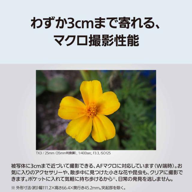 パナソニック DC-TX3-K デジタルカメラ「LUMIX TX3」（ブラック）Panasonic　ルミックス「DC-TX3」[DCTX3K] 返品種別A_9