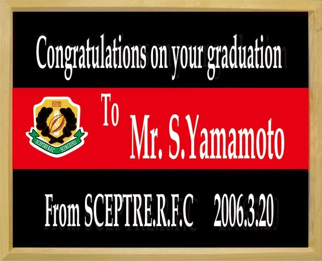 セプター SP-SP188 メモリーフレーム B4サイズSCEPTRE[SPSP188] 返品種別A