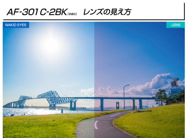 AirFly(エアフライ) AF-301C-2BK ユニセックスモデル サングラス AF-301 C-2BK(フレームカラー・ホワイトマット/レンズカラー・ブルーピンクミラー)[AF301C2BKエアフライ] 返品種別A_3