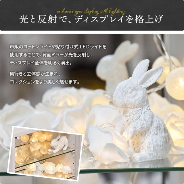 B.Bファニシング ONLS0417MOBLK コレクションケース Lサイズ（ブラック）[ONLS0417MOBLK] 返品種別A_9