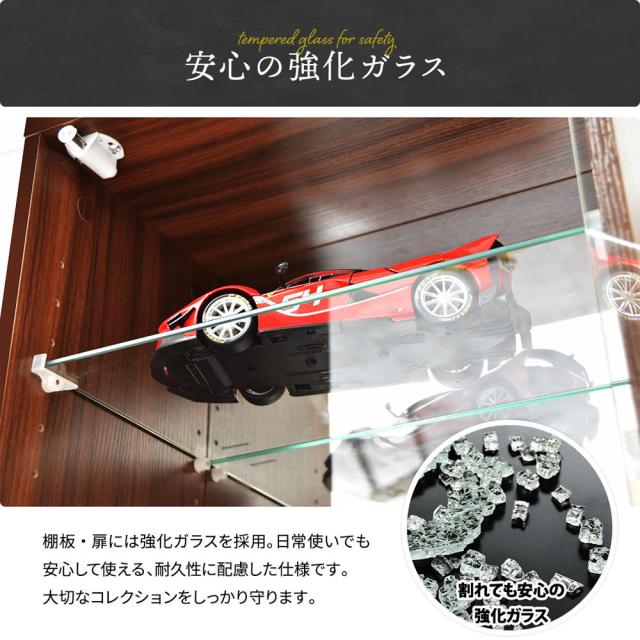B.Bファニシング ONLS0417MOBLK コレクションケース Lサイズ（ブラック）[ONLS0417MOBLK] 返品種別A_10