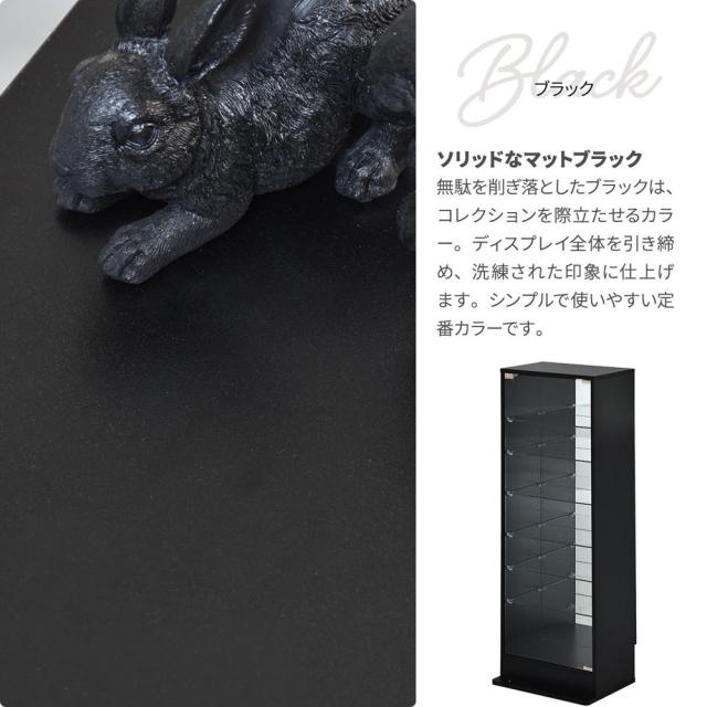 B.Bファニシング ONLS0417MOBLK コレクションケース Lサイズ（ブラック）[ONLS0417MOBLK] 返品種別A_14