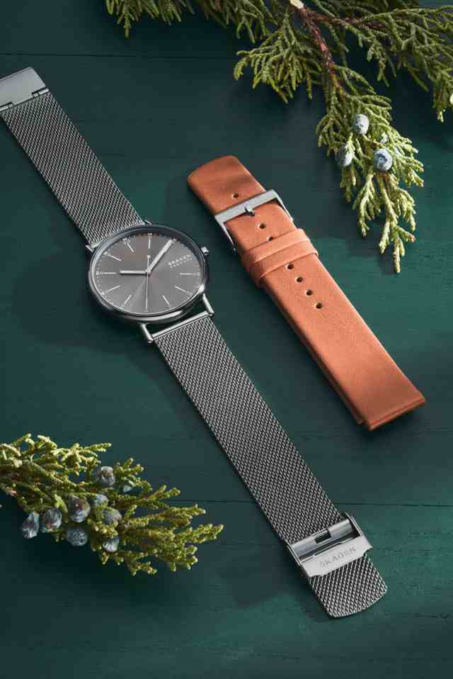 スカーゲン 【国内正規品】SKAGEN SIGNATUR クオーツ メンズタイプ