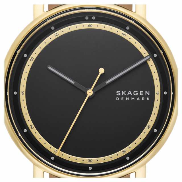 スカーゲン 【国内正規品】SKAGEN SIGNATUR クオーツ メンズタイプ ...