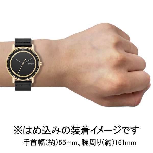 スカーゲン 【国内正規品】SKAGEN SIGNATUR クオーツ メンズタイプ ...