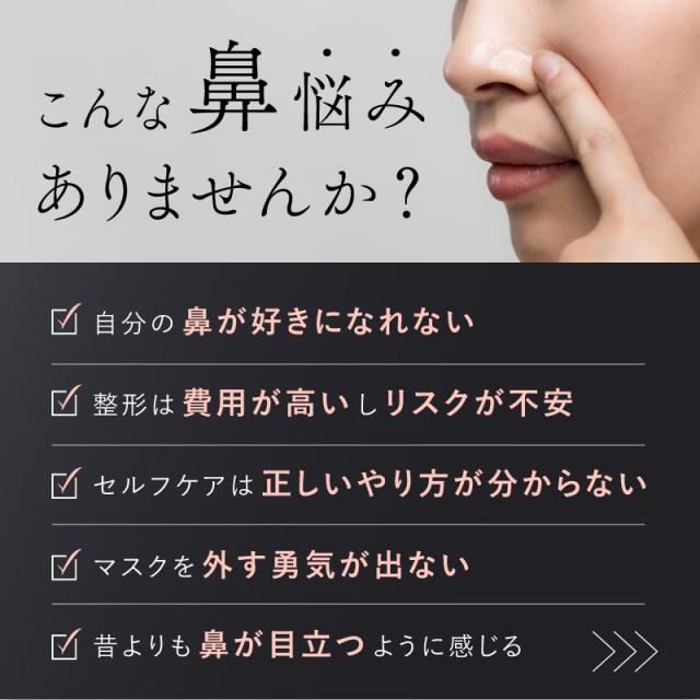 NIPLUX NP-QN25-BK 鼻専用EMS美顔器NIPLUX QNose[NPQN25BK] 返品種別A_2