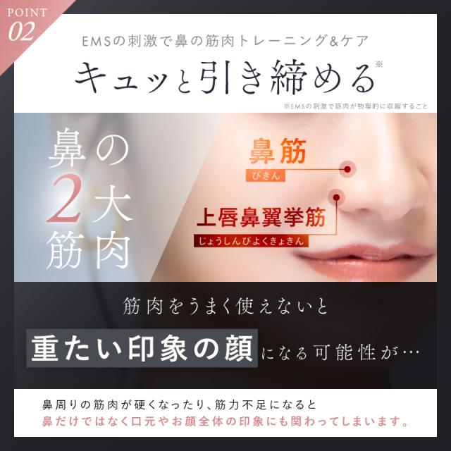 NIPLUX NP-QN25-BK 鼻専用EMS美顔器NIPLUX QNose[NPQN25BK] 返品種別A_7