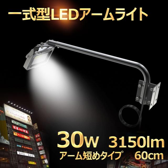 グッド・グッズ LD-K2M 一体型LEDアームライト 30W　3150lmGOODGOODS[LDK2M] 返品種別A_12