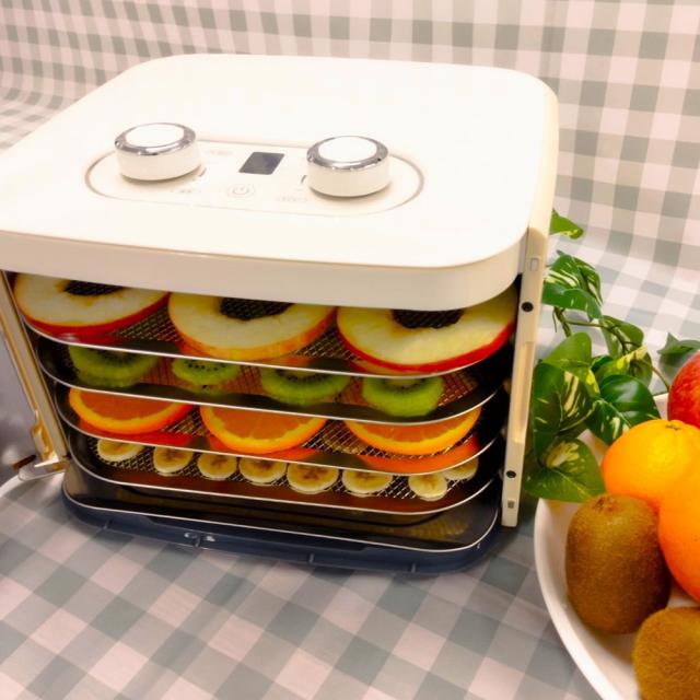 東明テック TTM-270WH 家庭用食品乾燥機TOHMEI　フードドライヤー　プチマレンギmini[TTM270WH] 返品種別A_4