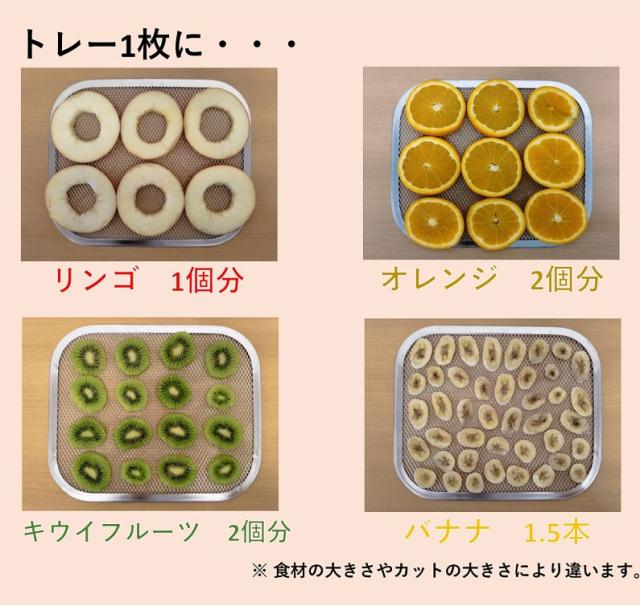 東明テック TTM-270WH 家庭用食品乾燥機TOHMEI　フードドライヤー　プチマレンギmini[TTM270WH] 返品種別A_6