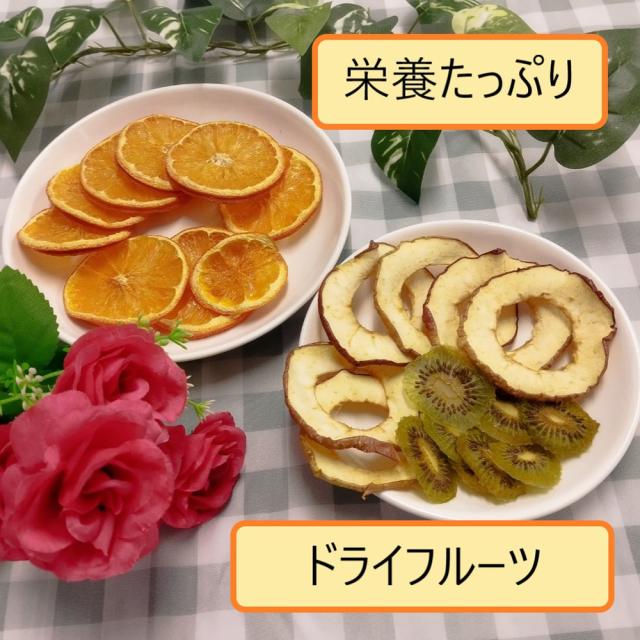 東明テック TTM-270WH 家庭用食品乾燥機TOHMEI　フードドライヤー　プチマレンギmini[TTM270WH] 返品種別A_7