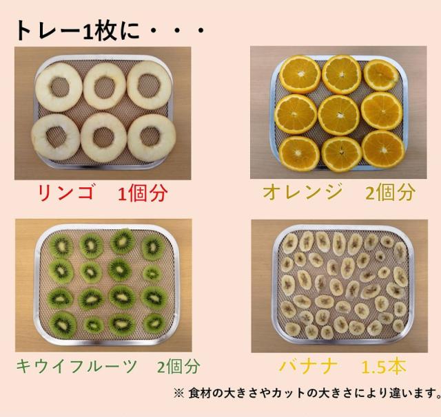東明テック TTM-270BL 家庭用食品乾燥機　ブルーTOHMEI　フードドライヤー　プチマレンギmini[TTM270BL] 返品種別A_6