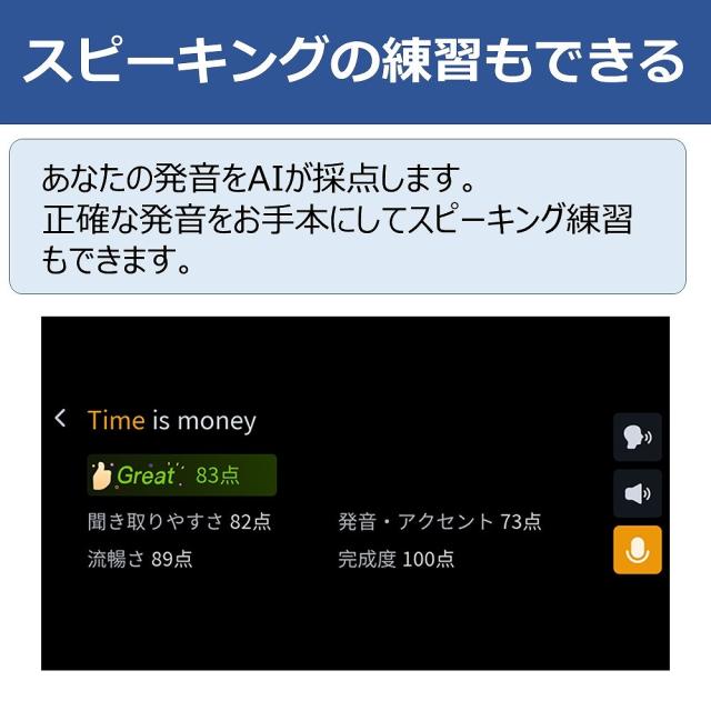 iFLYTEK DICTIONARYPEN ペン型電子辞書 Smart Dictionary Pen[DICTIONARYPEN] 返品種別A_3