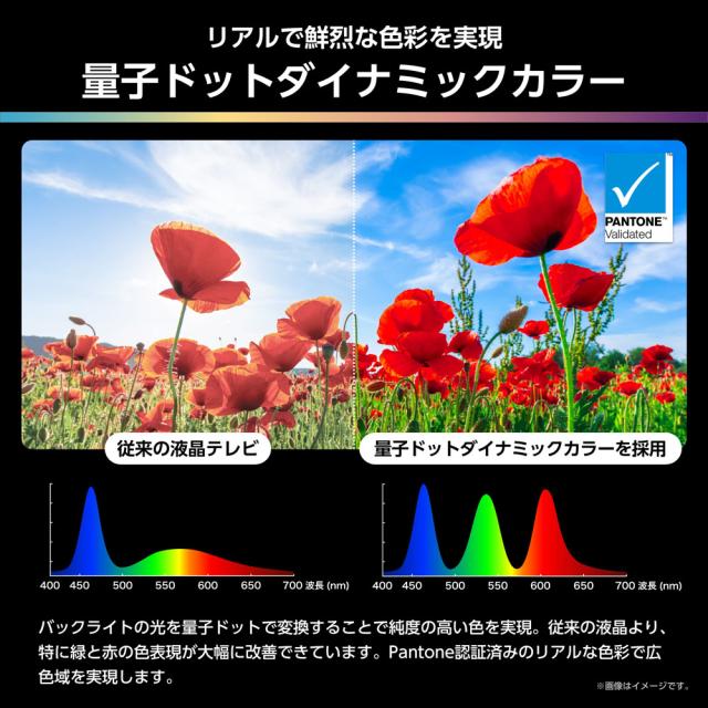 ハイセンス 65U9R 65V型 Mini LED液晶テレビ［BS・CS 4Kチューナー内蔵］Hisense　U9R[65U9R] 返品種別A_6