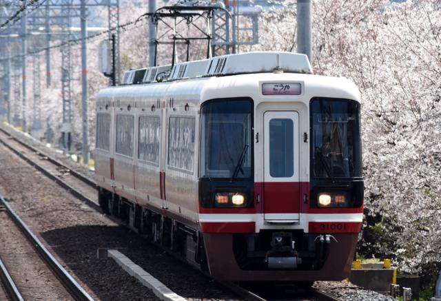 ポポンデッタ (N) 6071 南海31000系 特急「こうや」4両セット ポポンデッタ6071 ナンカイ31000ケイ コウヤ 4R返品種別B