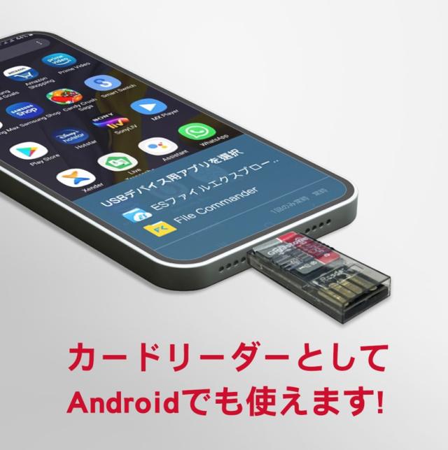 G137-うえきの法則【開封未使用カードダス】31セットcarddass G137-うえきの法則【開封未使用カードダス】31セットcarddass